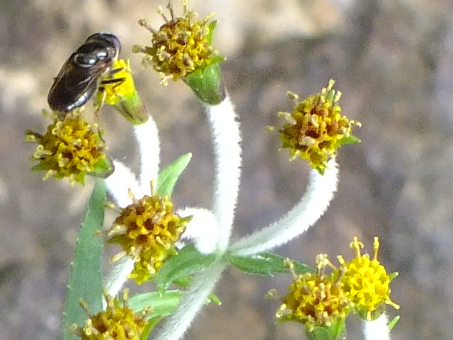 e0145782_12133818.jpg