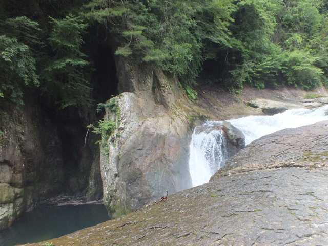 e0145782_1261446.jpg