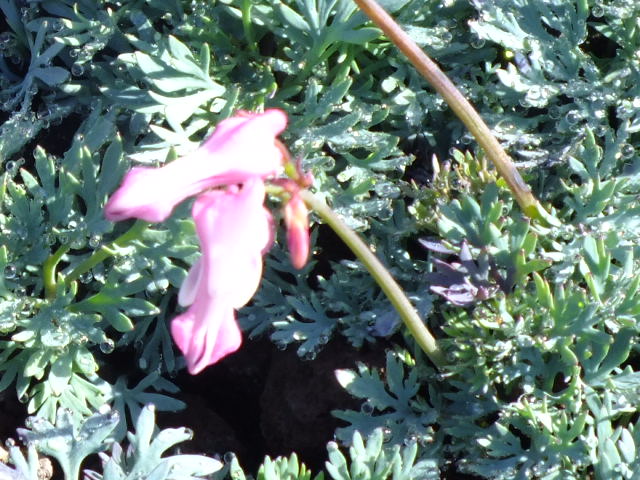 e0145782_15381535.jpg