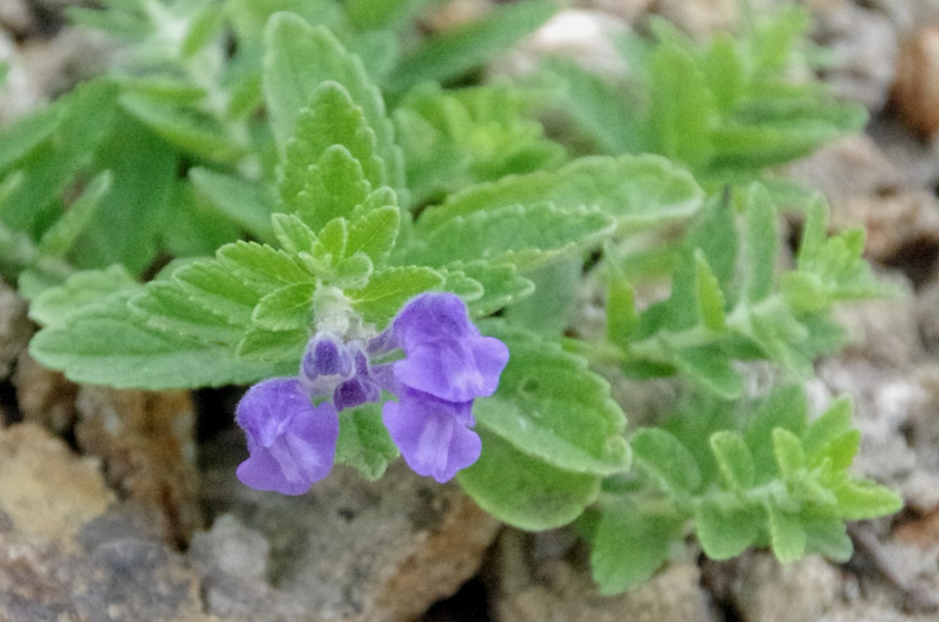 c0144185_14412021.jpg