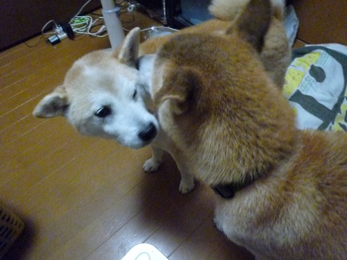 c0123890_2125147.jpg