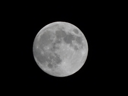 a0125598_21072405.jpg
