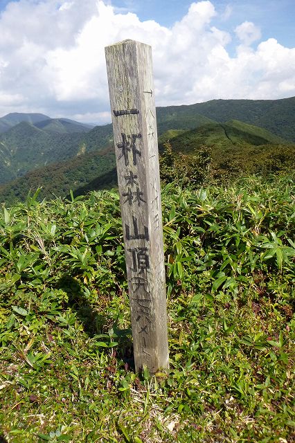 e0137200_23395247.jpg