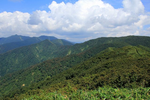 e0137200_2340569.jpg