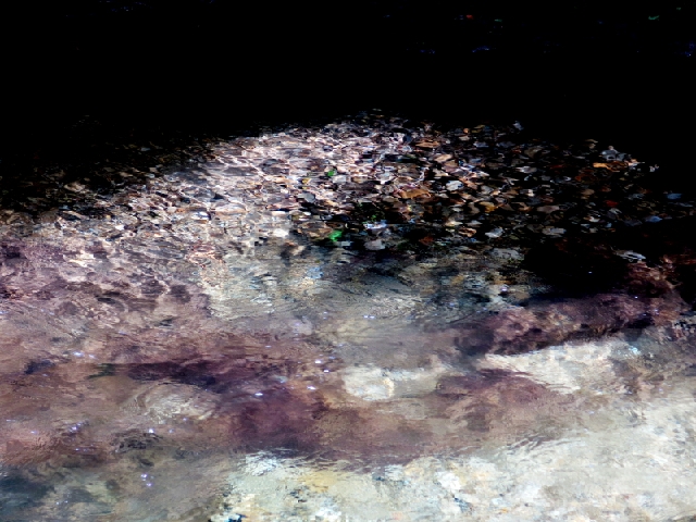 f0083400_2240488.jpg