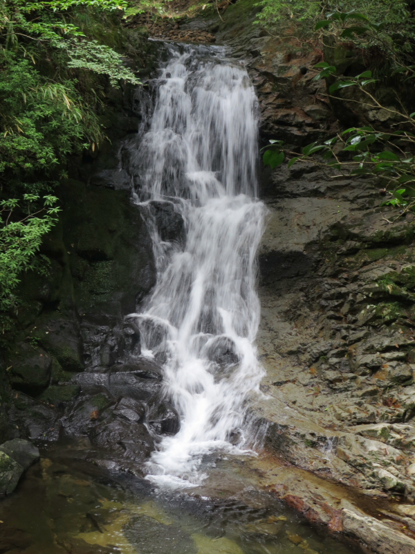 f0083400_22581561.jpg
