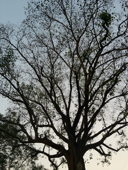 a0201204_10513792.jpg
