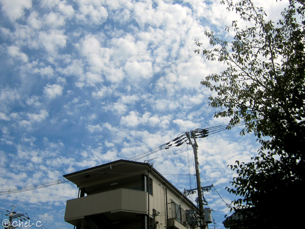 a0154706_12070625.jpg