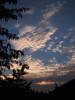 a0240108_23421252.jpg