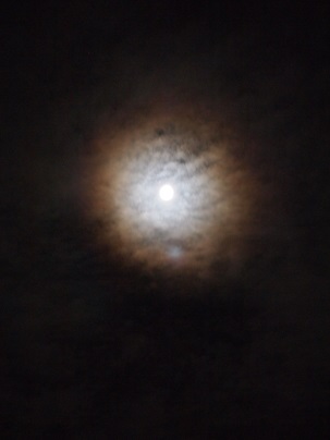 a0240108_23423396.jpg