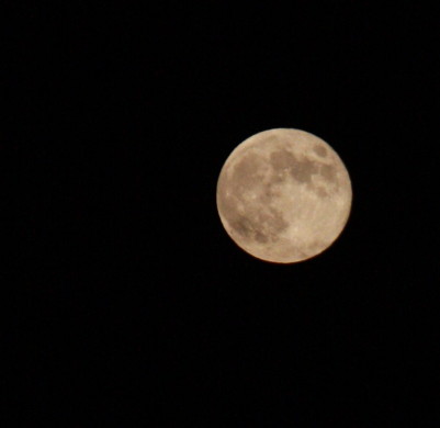 b0129008_21261208.jpg