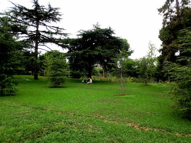 b0064411_05012486.jpg