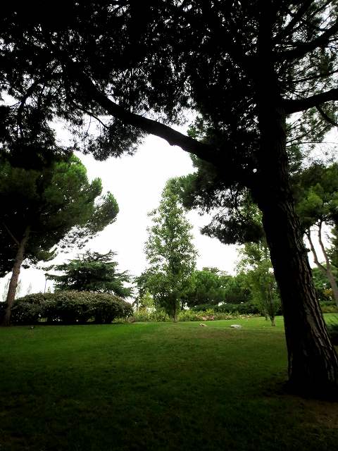 b0064411_05064321.jpg