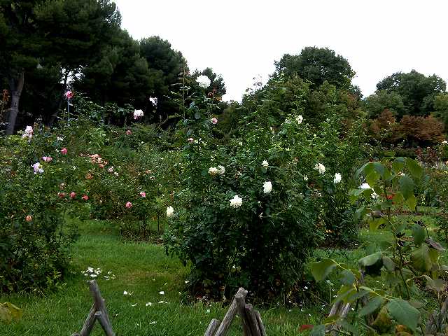 b0064411_05150670.jpg