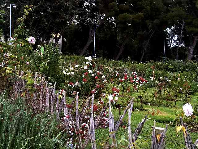 b0064411_05150684.jpg