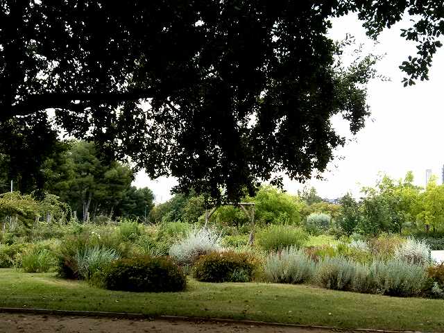b0064411_05150698.jpg
