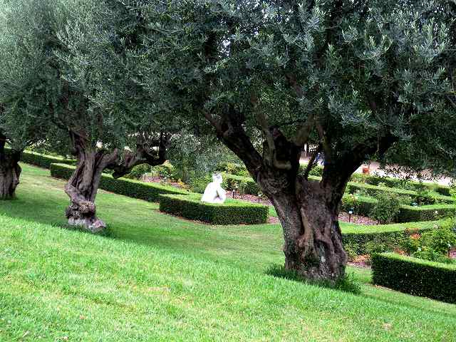 b0064411_05160841.jpg