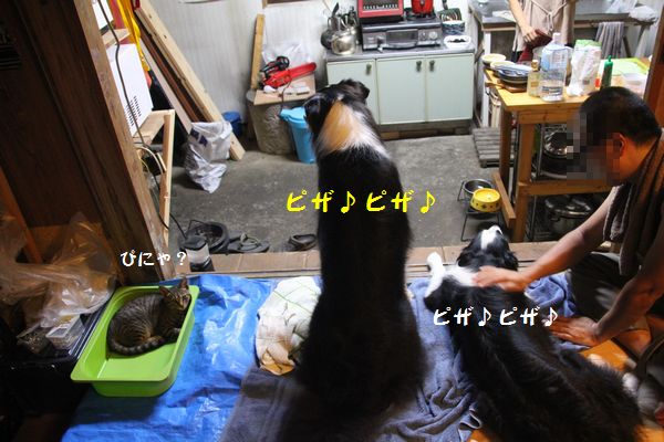 d0224111_20492019.jpg