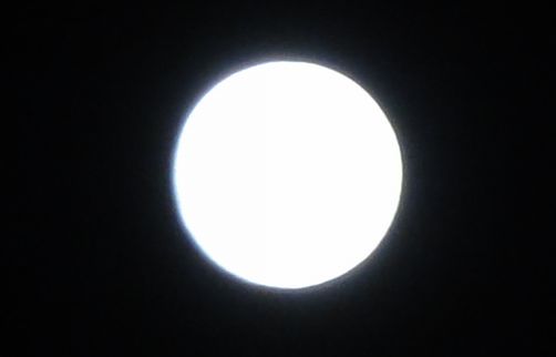 d0330311_8404414.jpg