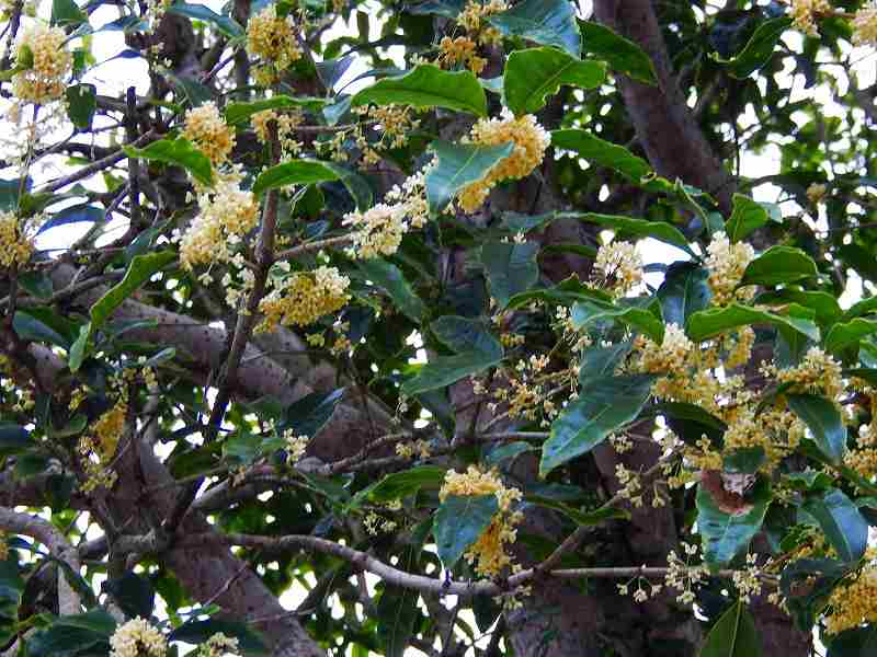 f0182513_23241778.jpg