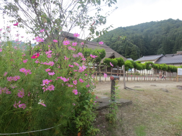 f0248616_11242646.jpg