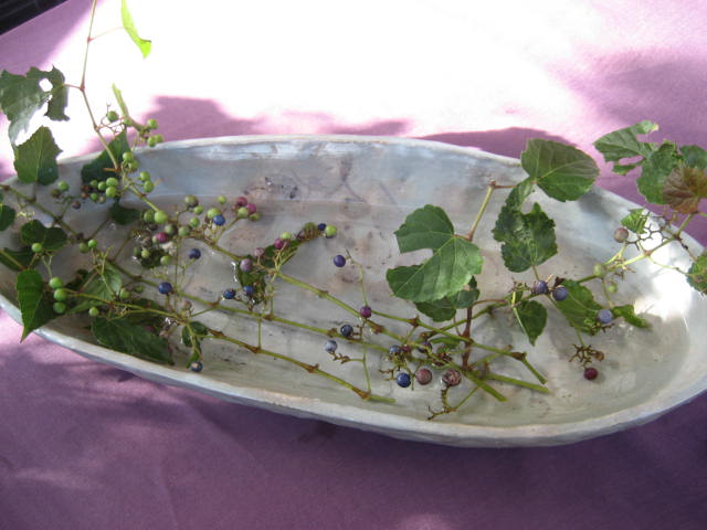 f0139520_20282965.jpg
