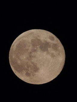 f0150620_20363271.jpg