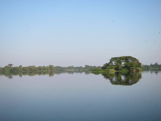a0114521_17583357.jpg