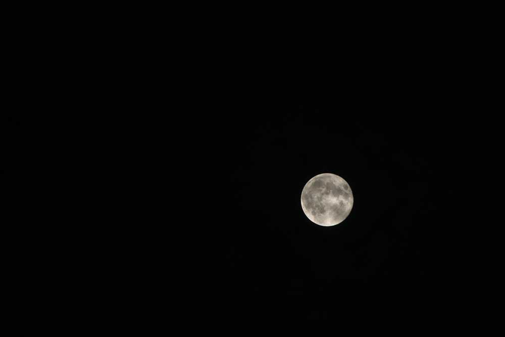b0122522_22481027.jpg