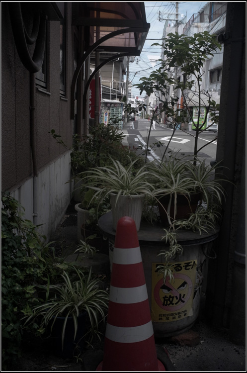 b0226423_18285118.jpg
