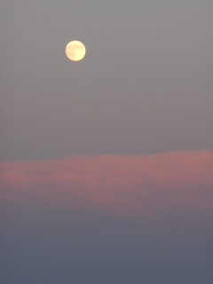 b0094029_08081824.jpg