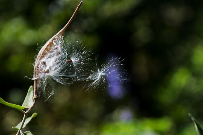 d0029829_2117310.jpg