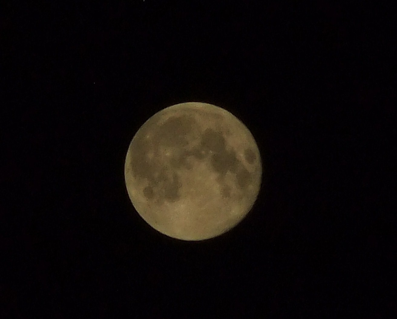 b0137932_2352269.jpg