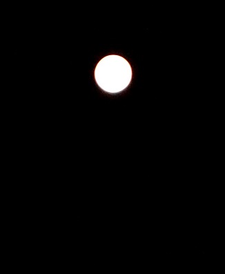 c0306839_7583034.jpg