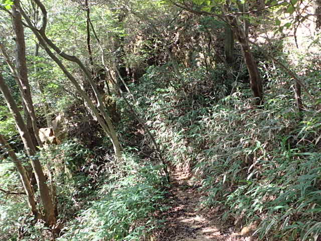 f0334143_21141897.jpg