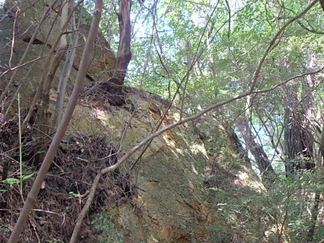 f0334143_2114318.jpg