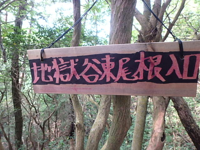 f0334143_21143348.jpg