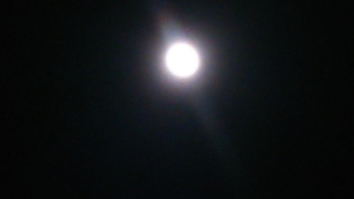 e0288544_11292380.jpg
