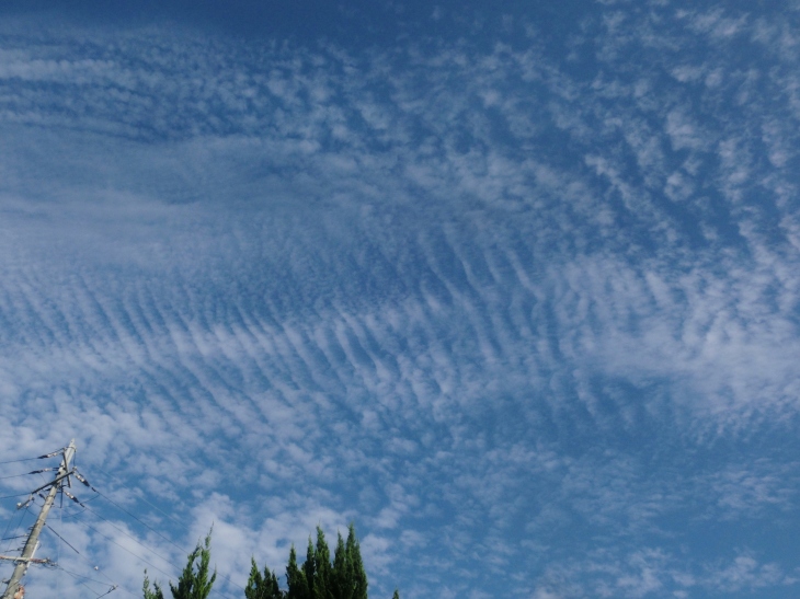 b0132746_22553798.jpg