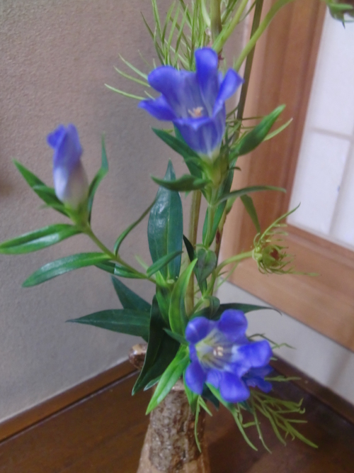 f0329849_2211151.jpg