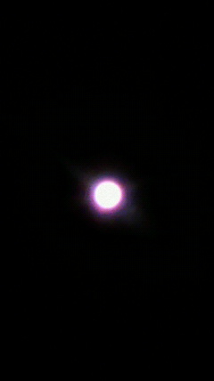 d0175151_244731.jpg