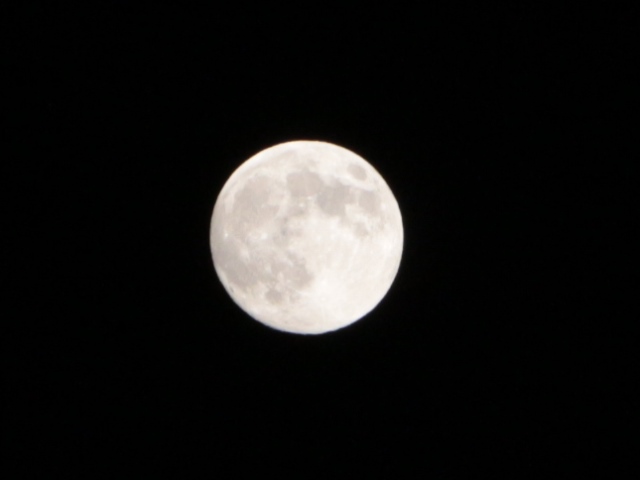 e0017051_6184067.jpg