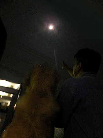c0097558_23244190.jpg