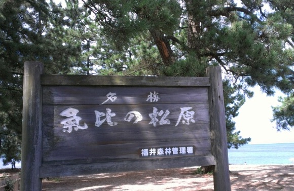 b0186959_10373092.jpg