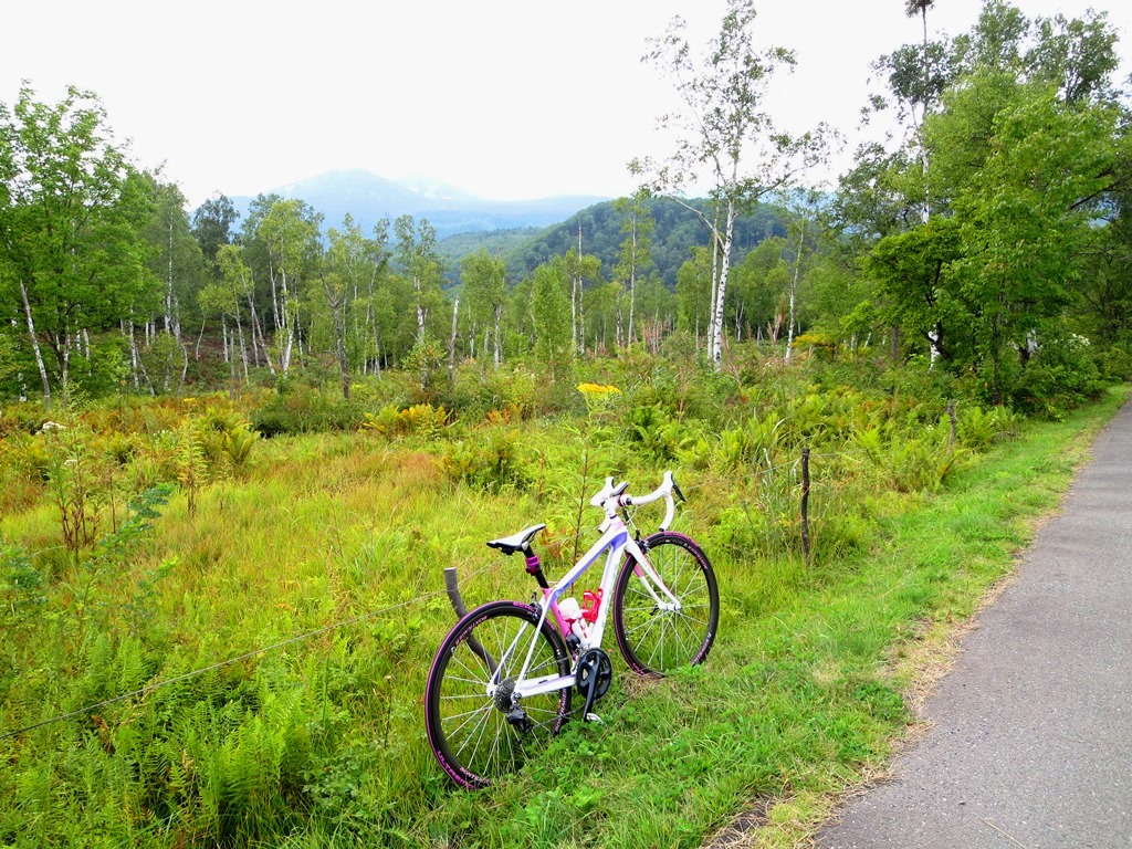 c0214259_21102638.jpg