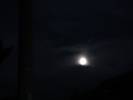 a0243064_1141968.jpg