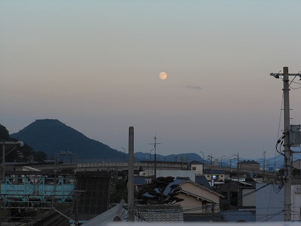 e0175370_973522.jpg