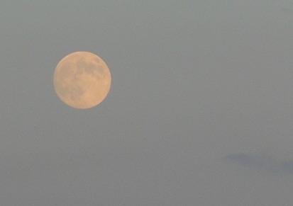 e0175370_98162.jpg