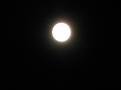 e0175370_99495.jpg