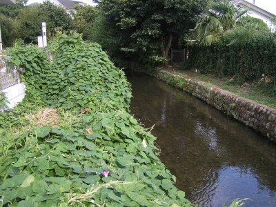 c0112172_15325426.jpg